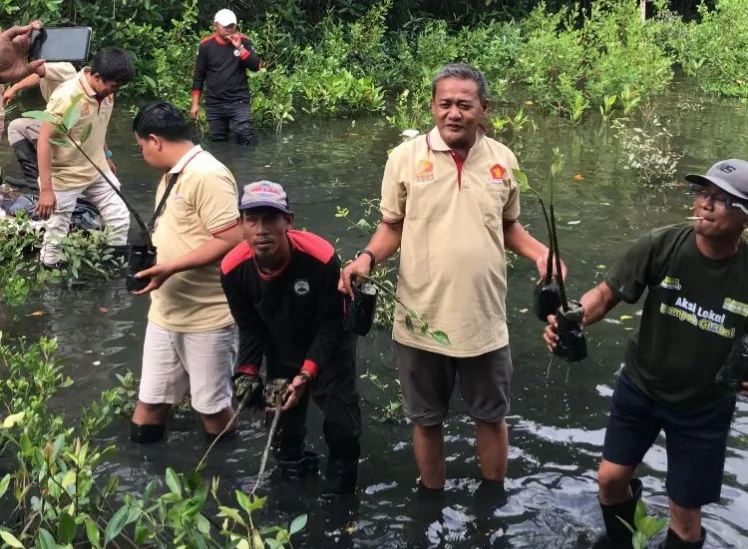 Aksi Penanaman Mangrove di Laut Utara, Sinergi BUMDes dan DPR-RI Jaga Kelestarian Lingkungan