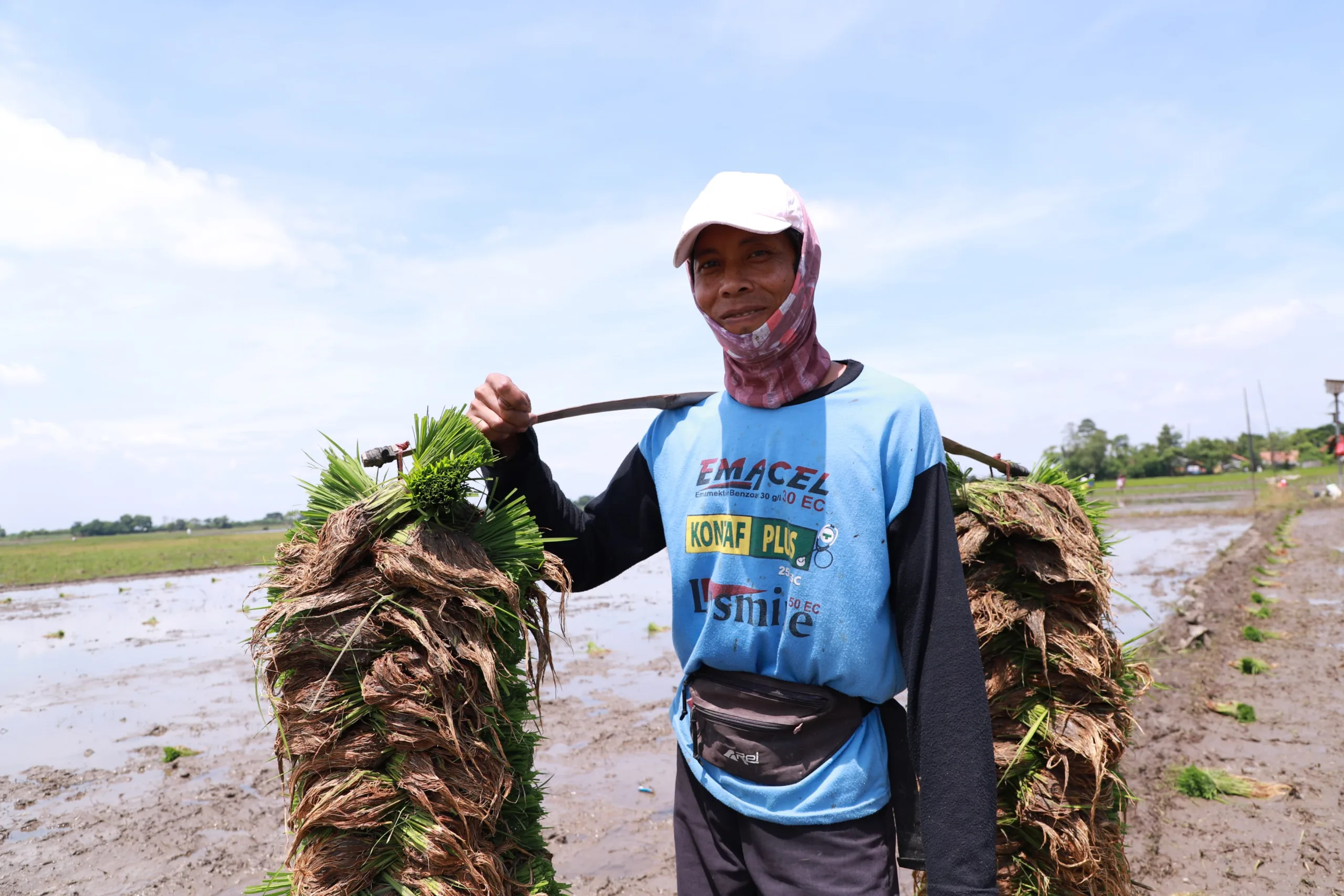 Dinas Pertanian Siapkan 43,8 Ton Benih Padi bagi Petani yang lahan Pertaniannya Terdampak Banjir