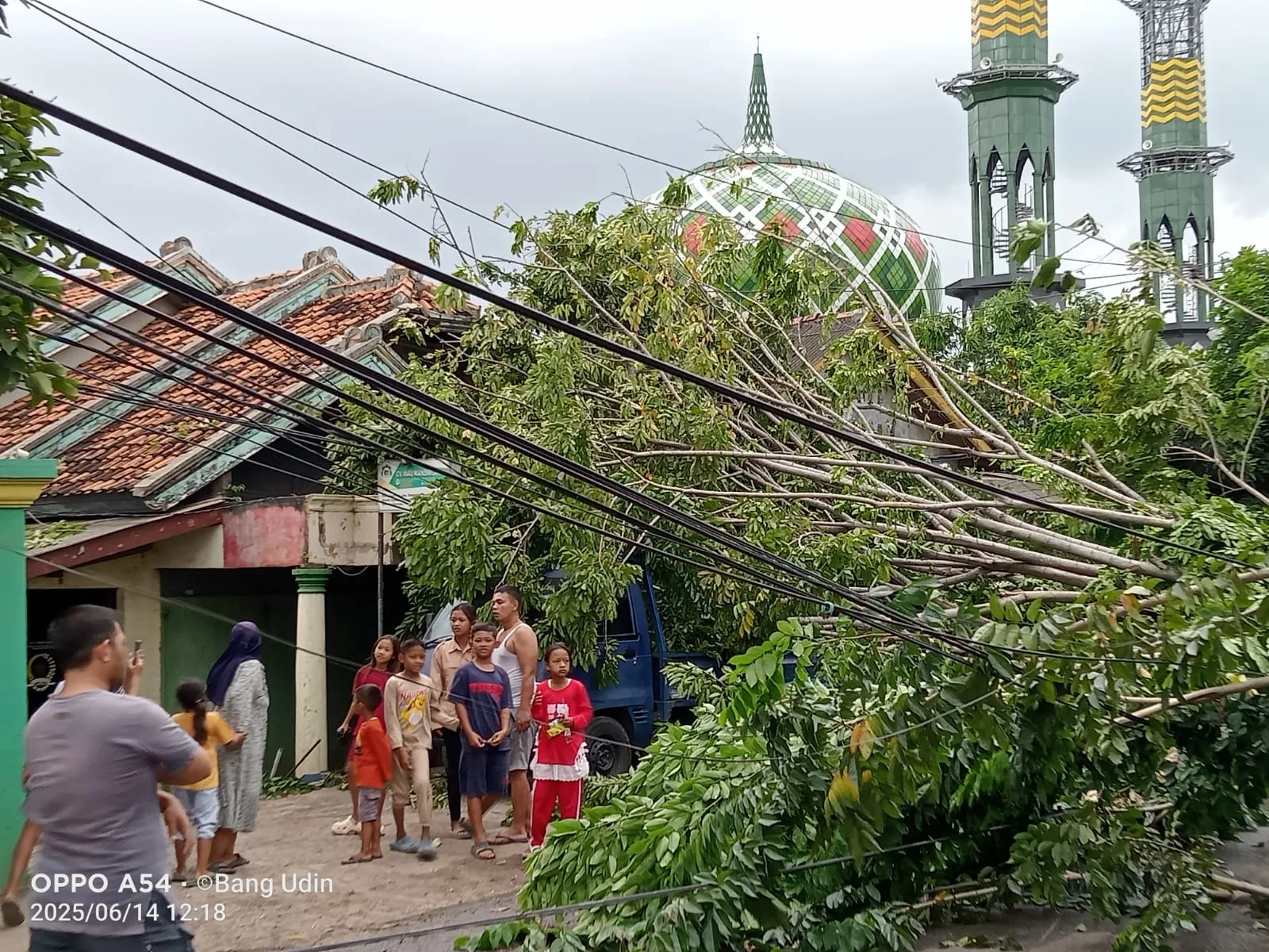 Pohon Tumbang Akibat Angin Kencang di Tarumajaya, Atap Warung Rusak dan Listrik Padam