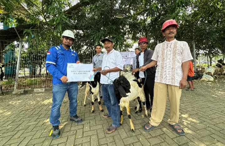PLN Nusantara Power UP Muara Tawar Berbagi Hewan Qurban di Idul Adha 1446 H
