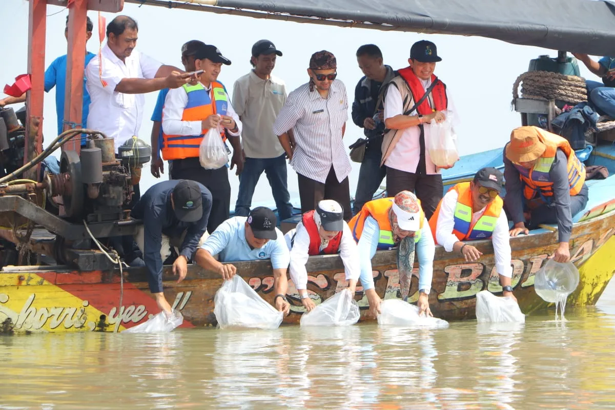 Restocking 1 Juta Benih Rajungan di Muara Gembong: Langkah Nyata Menuju Perikanan Berkelanjutan di Jawa Barat