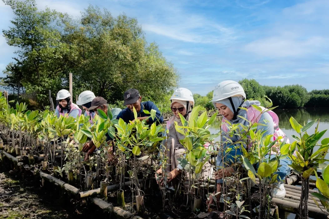 Srikandi PLN UP Muara Tawar Lakukan Monitoring Konservasi Mangrove di Pesisir Bekasi