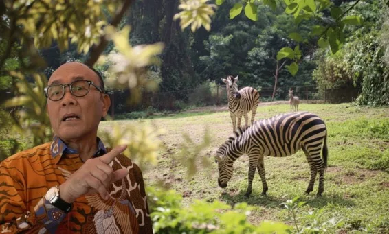 Penutupan Kebun Binatang Bandung Tuai Kritik Tajam, Saurip Kadi: “Ini Bukan Sekadar Administrasi, Tapi Ujian Wibawa Negara”
