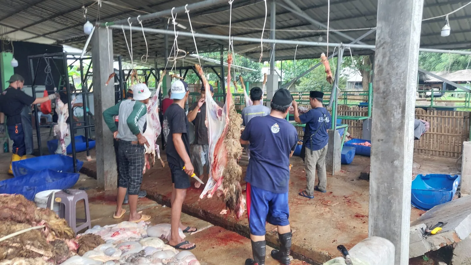Juleha Kab. Bekasi Ajari Kesempurnaan Menyembelih dan Menguliti