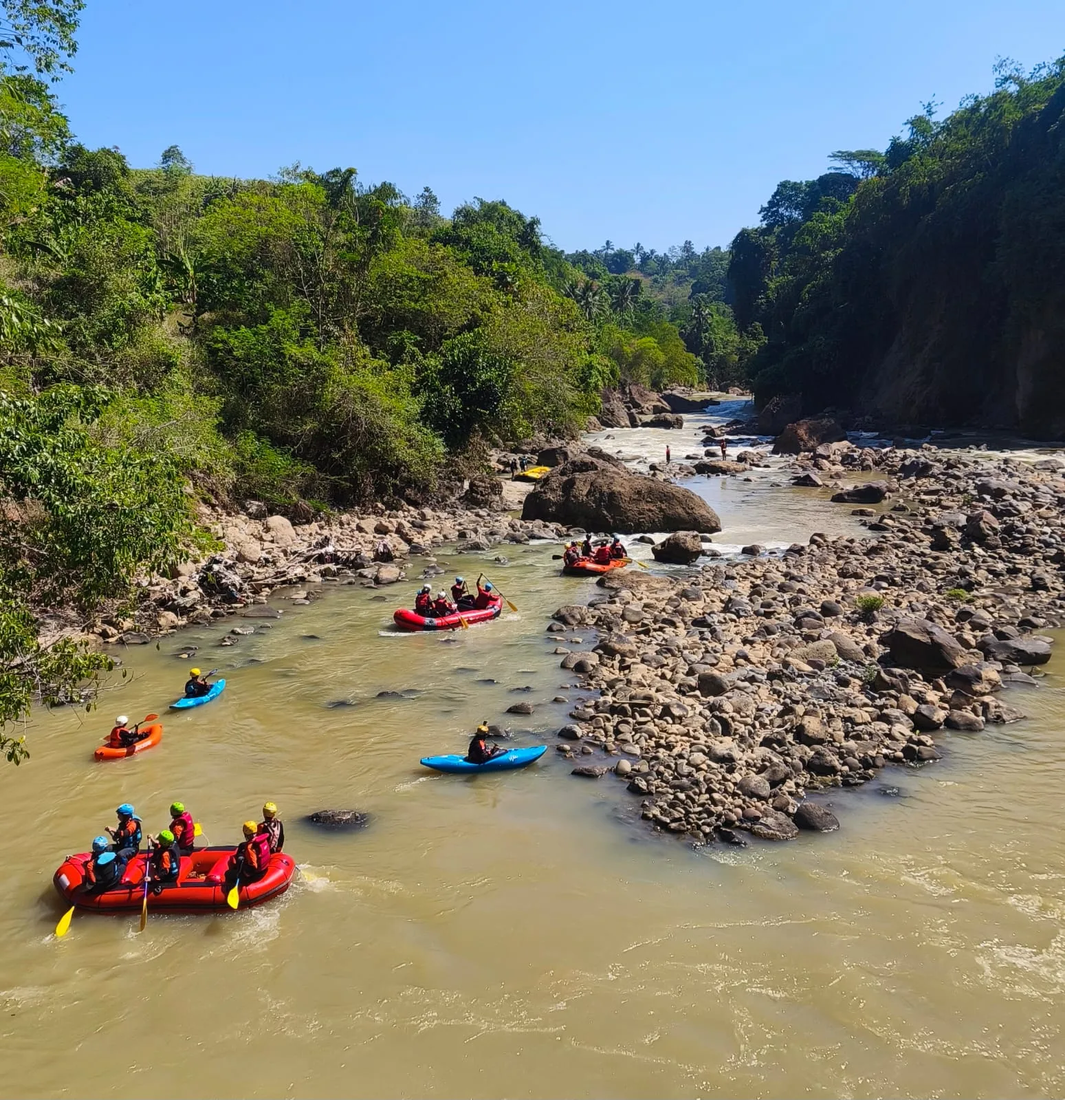 Dari Hutan Halimun Salak, Elpala Menjaga Warisan Alam Indonesia