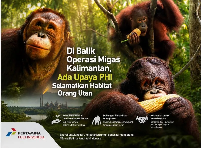 PHI Perkuat Konservasi Orang Utan dan Pemulihan Habitat di Kalimantan